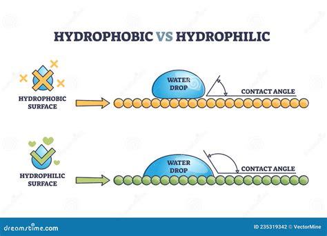 HYDROPHILIC .